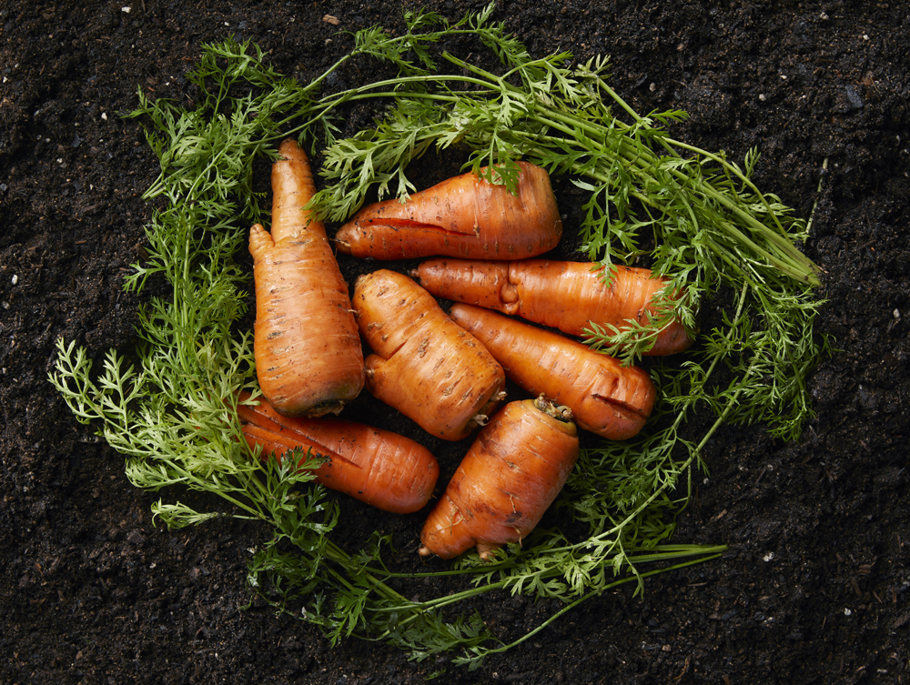 dưỡng tay innisfree ugly carrot